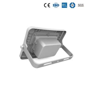 đèn pha 100w LD-WR2.0 100W